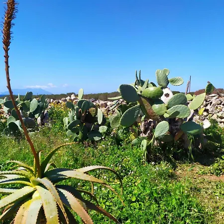 Casa Minerva Favignana -cala Rotonda Case Canini
